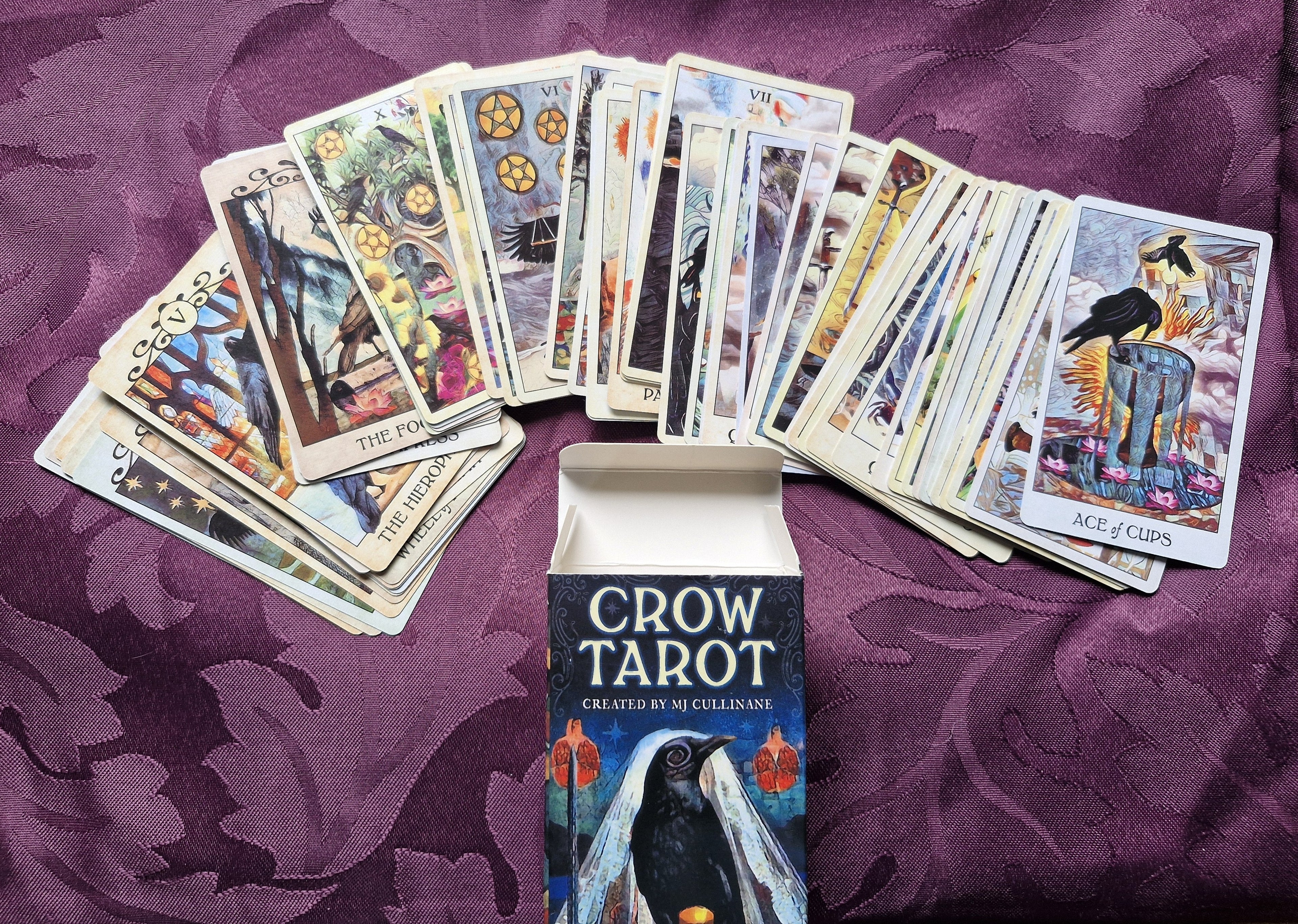 Brand new Crow Tarot Cards