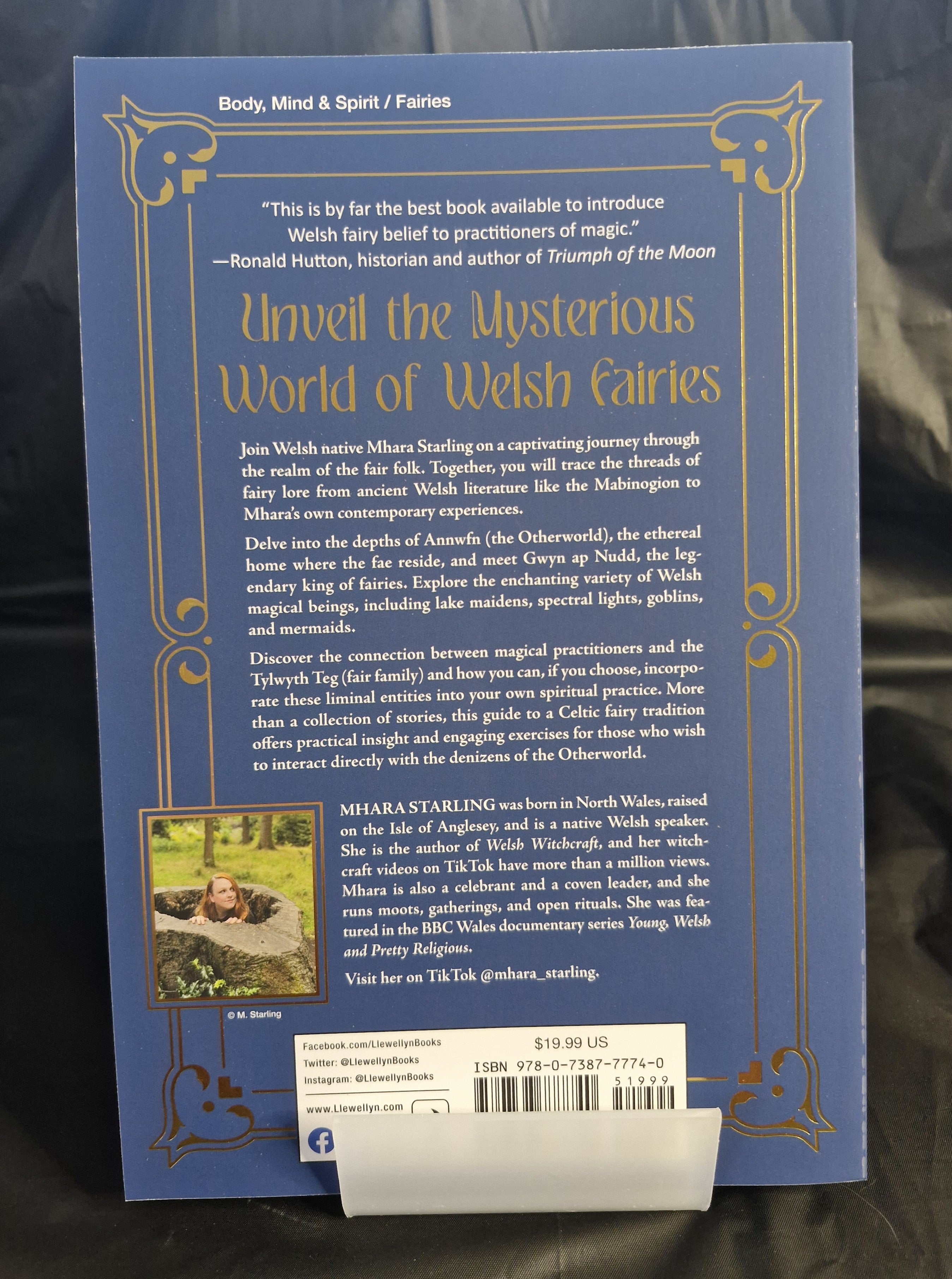 New - Welsh Fairies by Mhara Starling