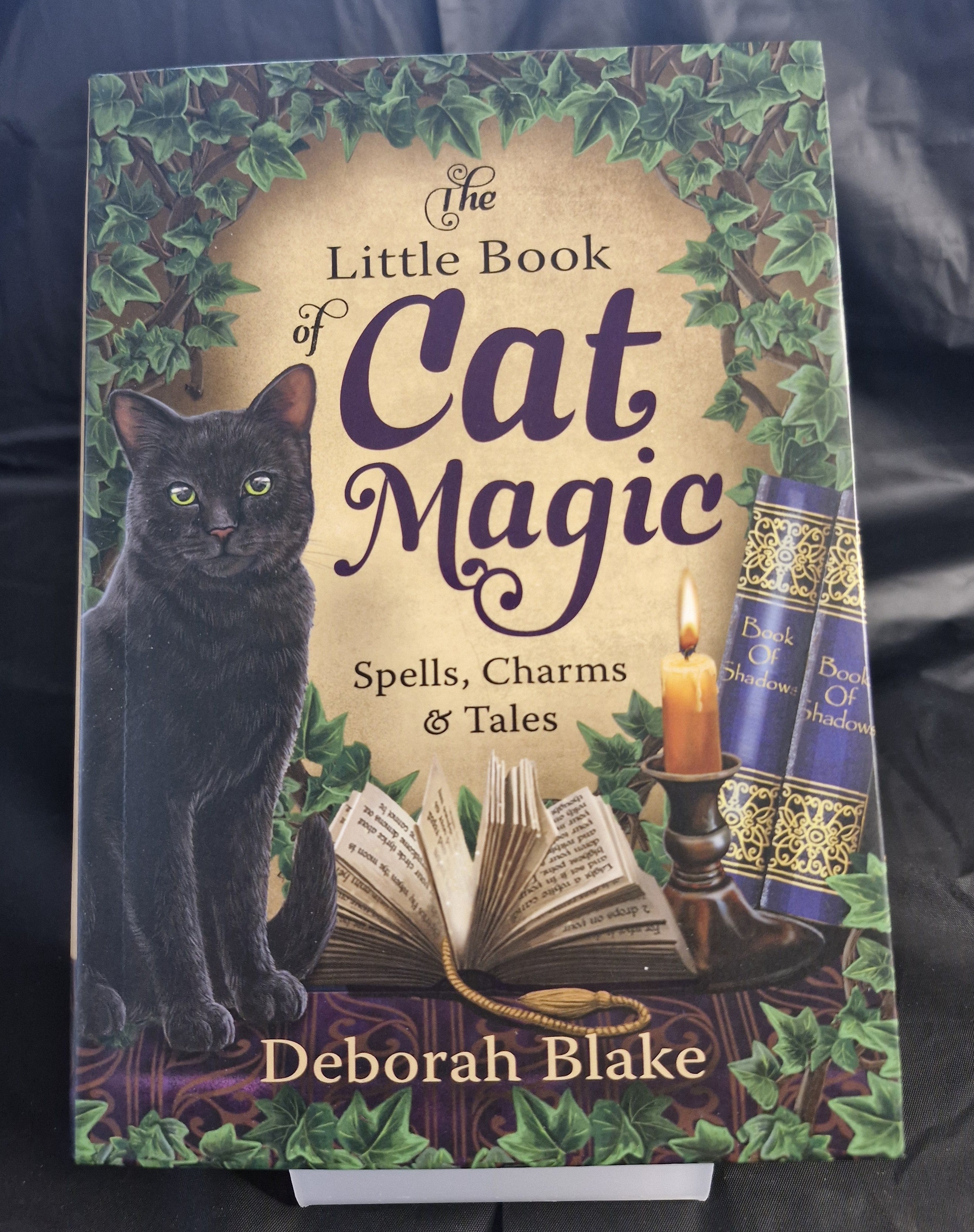 New - The Little Book of Cat Magic