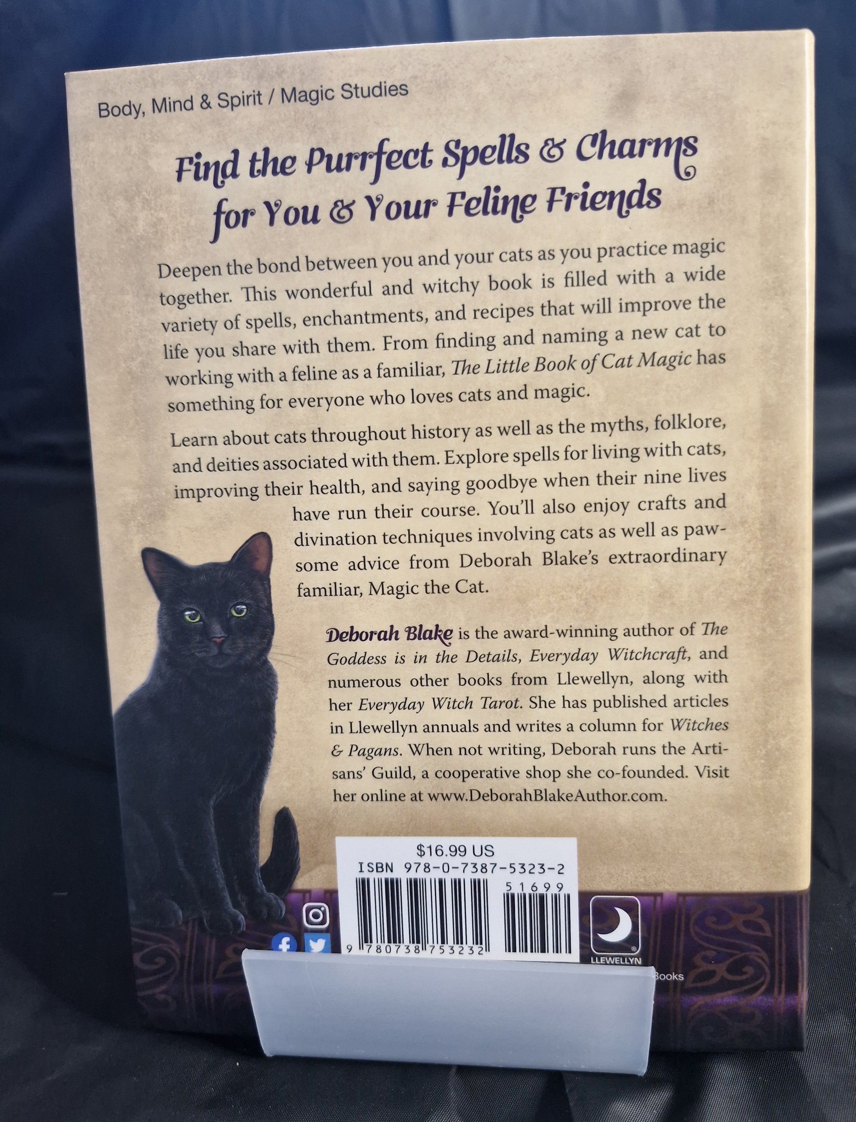 New - The Little Book of Cat Magic