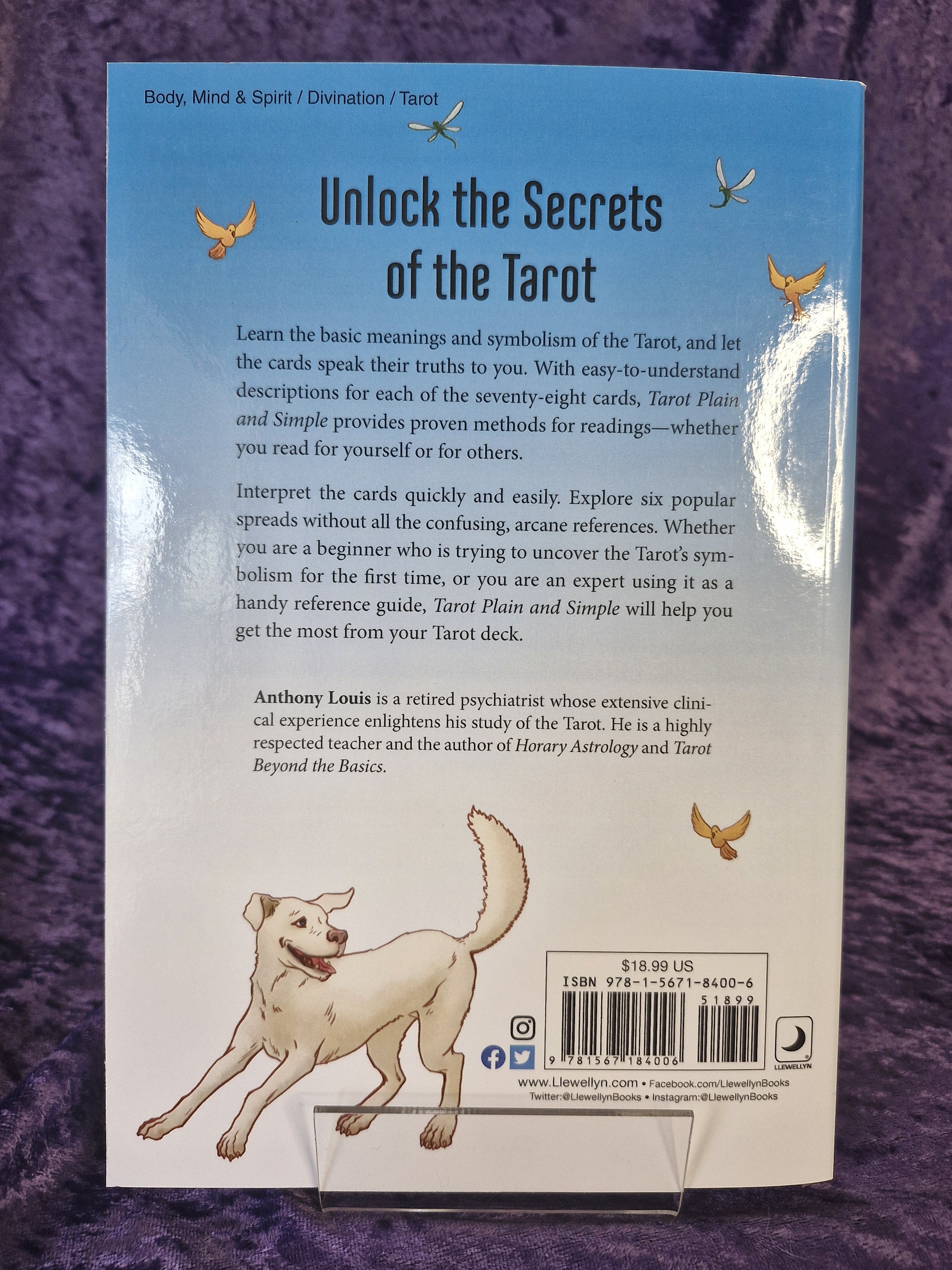 Tarot; Plain and Simple