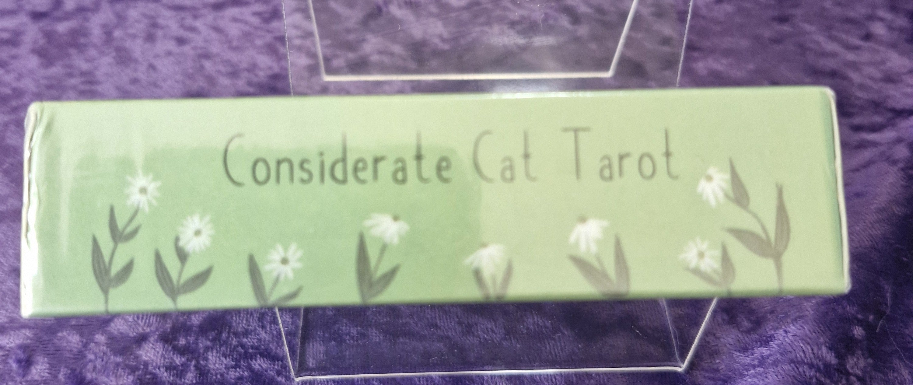 Considerate Cat Tarot