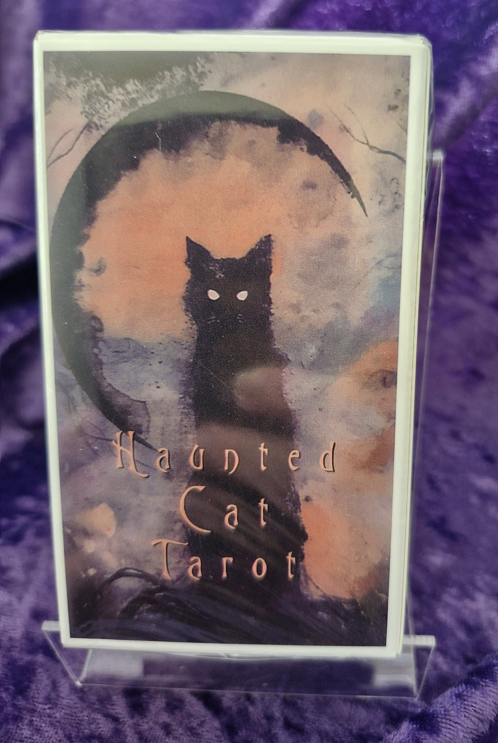 Haunted Cat Tarot