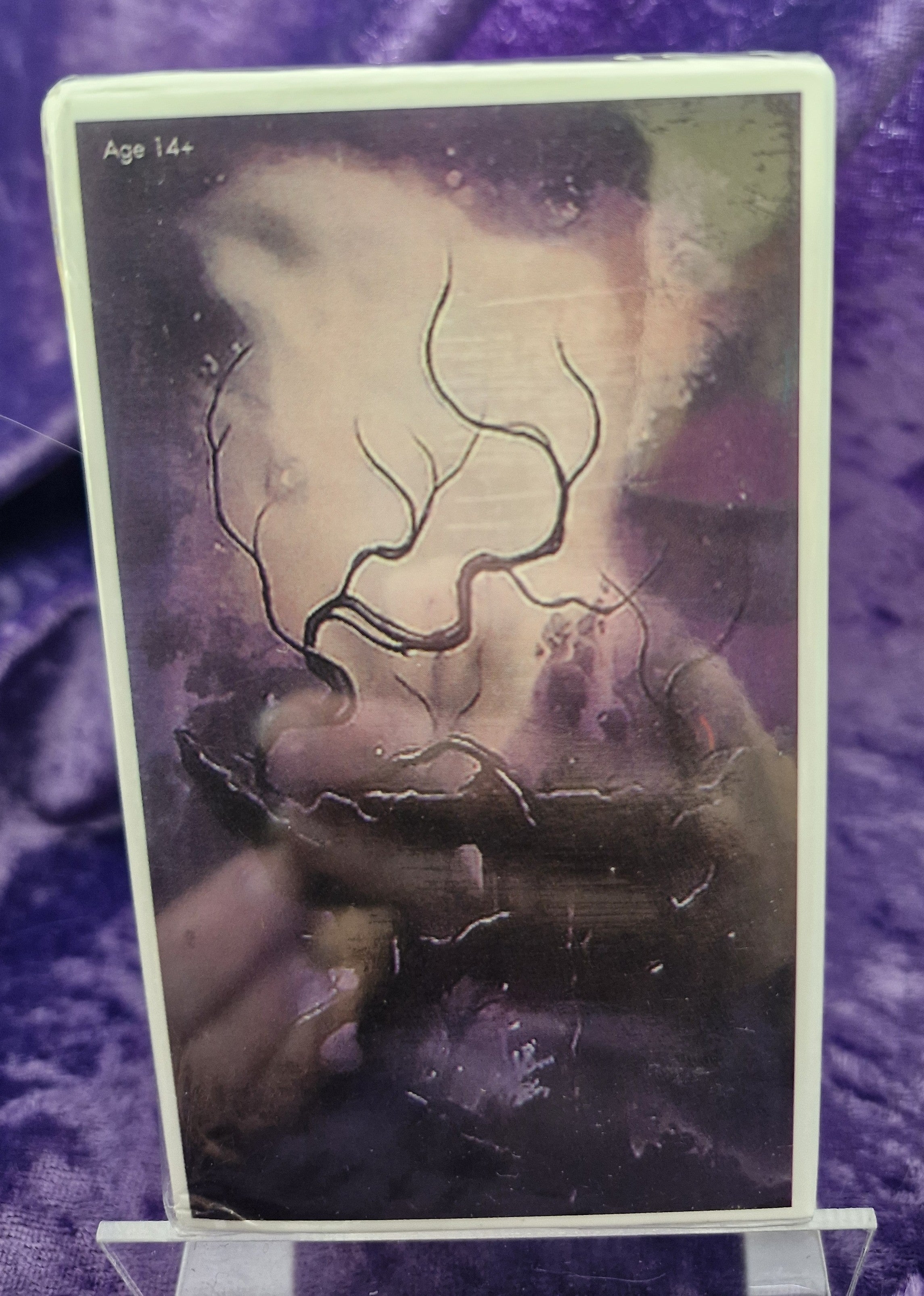 Haunted Cat Tarot