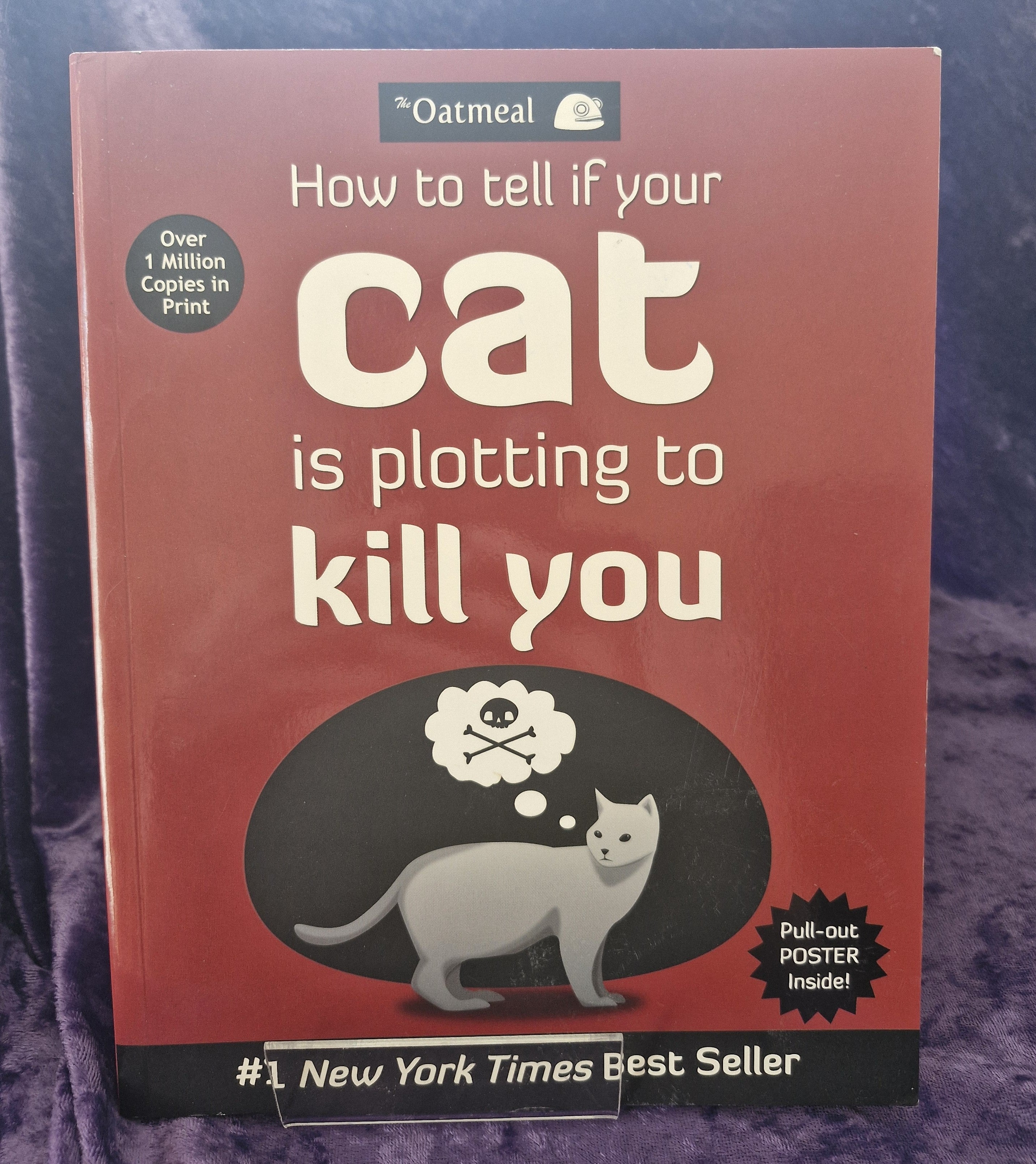 How to Tell if your Cat is Plotting to Kill you