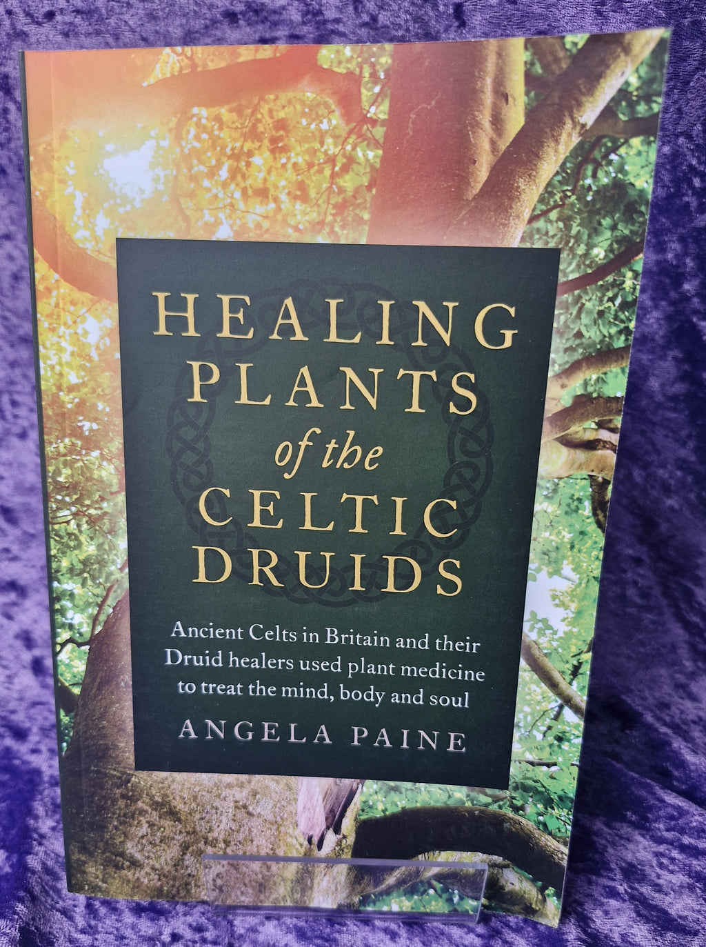 Healing Plants of the Celtic Druids