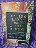 Healing Plants of the Celtic Druids
