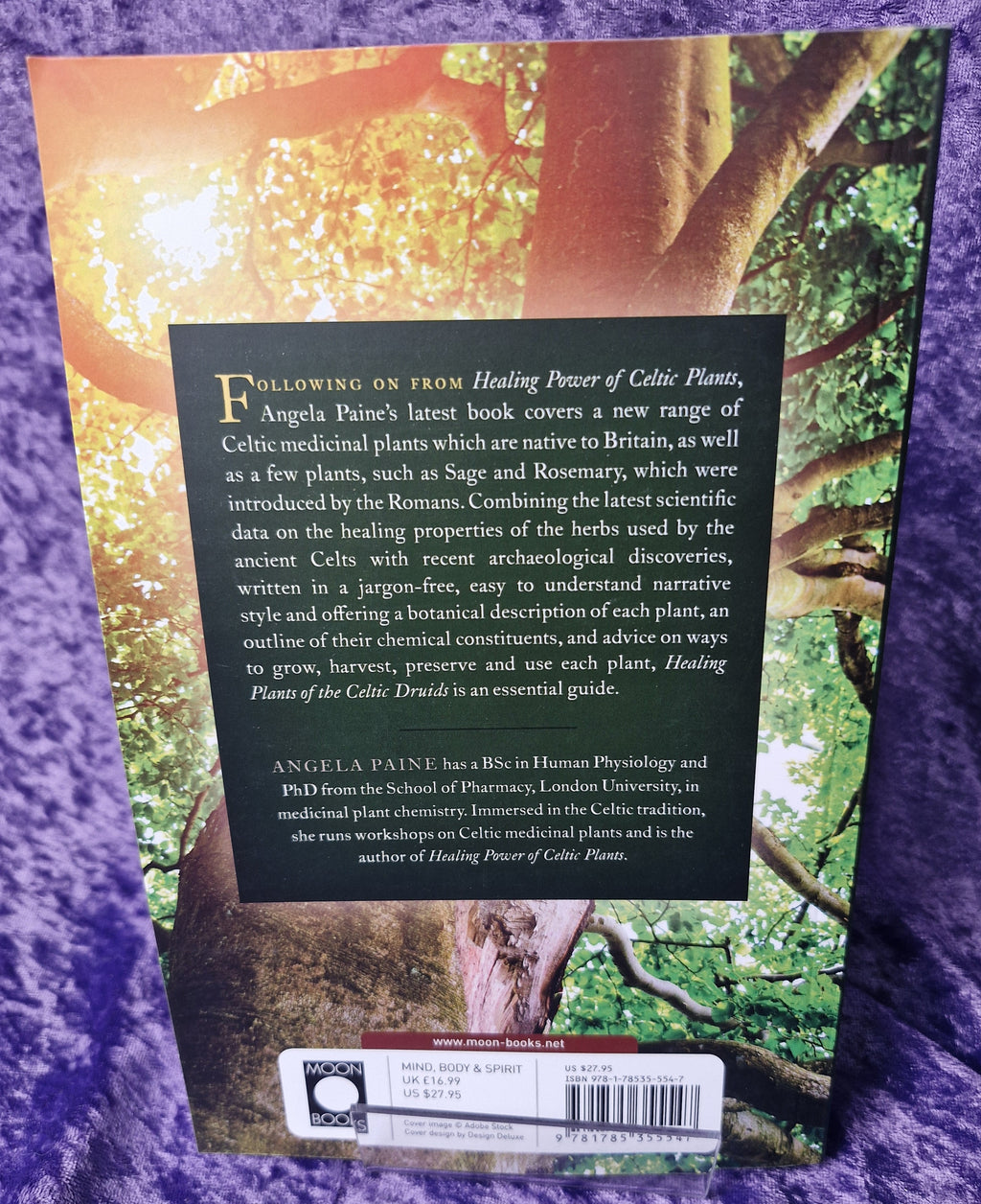 Healing Plants of the Celtic Druids