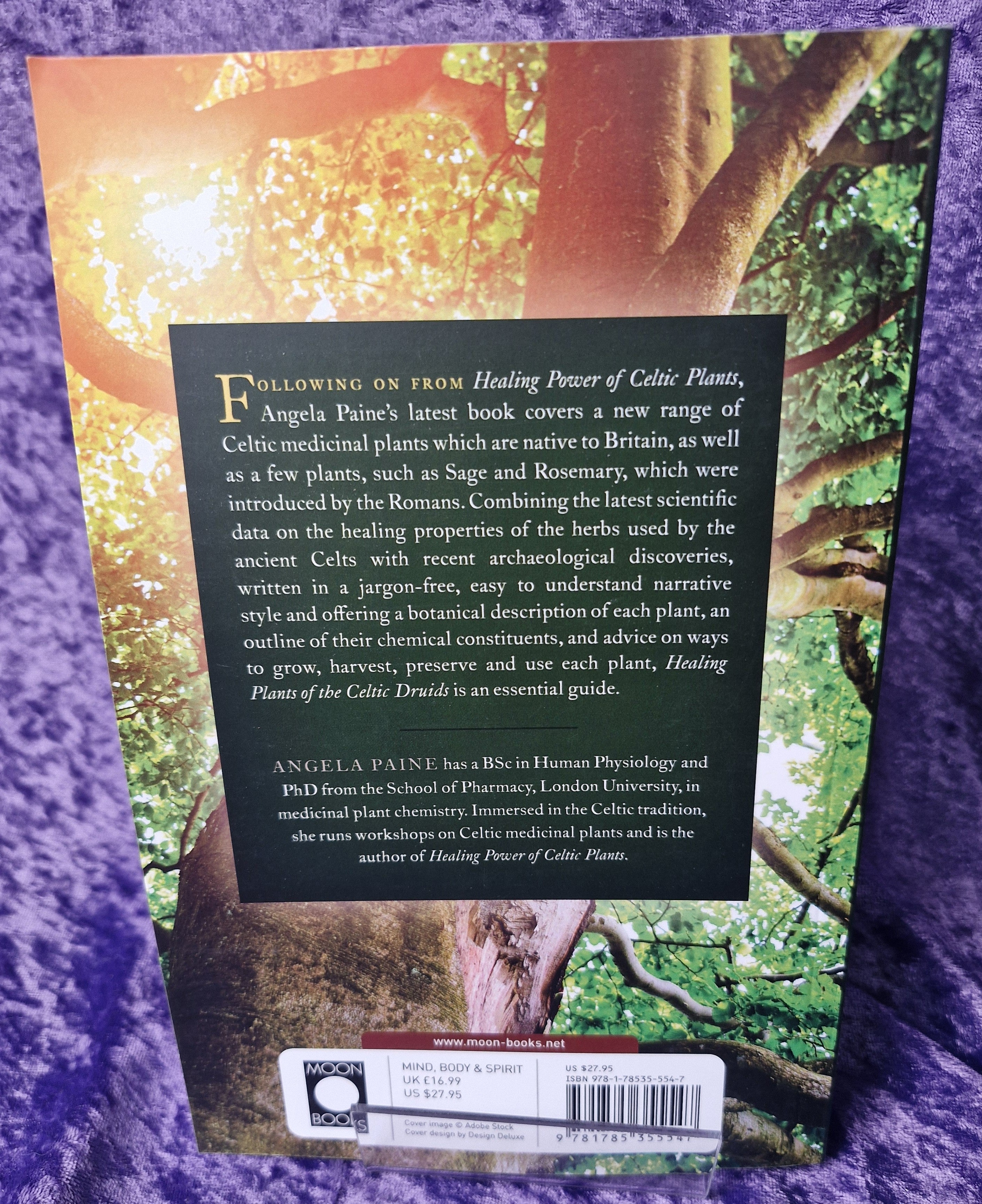 Healing Plants of the Celtic Druids